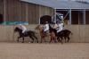 Oxford Polo 2022_12_11 0033
